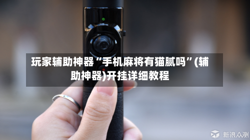 玩家辅助神器“手机麻将有猫腻吗”(辅助神器)开挂详细教程-第2张图片