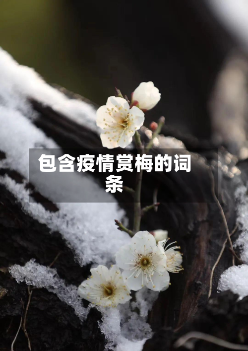 包含疫情赏梅的词条-第1张图片