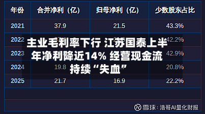 主业毛利率下行 江苏国泰上半年净利降近14% 经营现金流持续“失血”