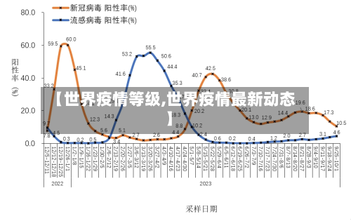 【世界疫情等级,世界疫情最新动态】-第2张图片