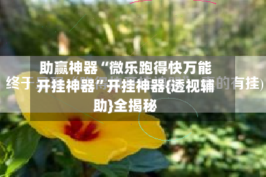 助赢神器“微乐跑得快万能开挂神器”开挂神器{透视辅助}全揭秘