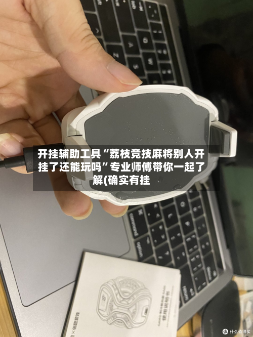 开挂辅助工具“荔枝竞技麻将别人开挂了还能玩吗”专业师傅带你一起了解(确实有挂-第2张图片