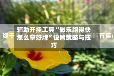 辅助开挂工具“微乐跑得快怎么拿好牌”设置策略与技巧
