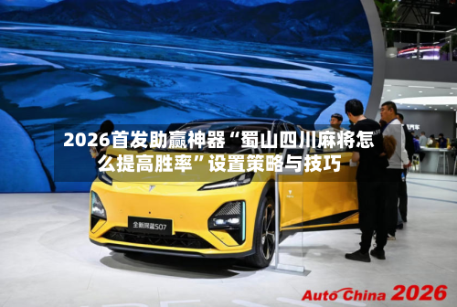 2026首发助赢神器“蜀山四川麻将怎么提高胜率”设置策略与技巧-第3张图片