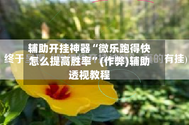 辅助开挂神器“微乐跑得快怎么提高胜率”(作弊)辅助透视教程-第1张图片