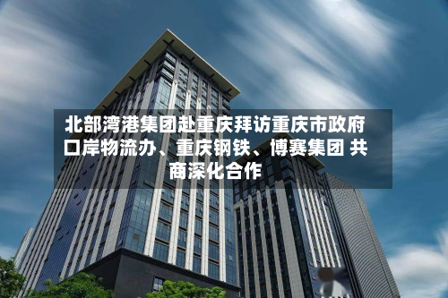 北部湾港集团赴重庆拜访重庆市政府口岸物流办、重庆钢铁、博赛集团 共商深化合作