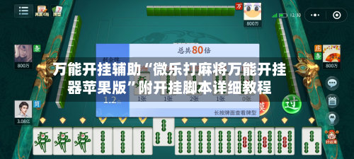 万能开挂辅助“微乐打麻将万能开挂器苹果版”附开挂脚本详细教程-第2张图片
