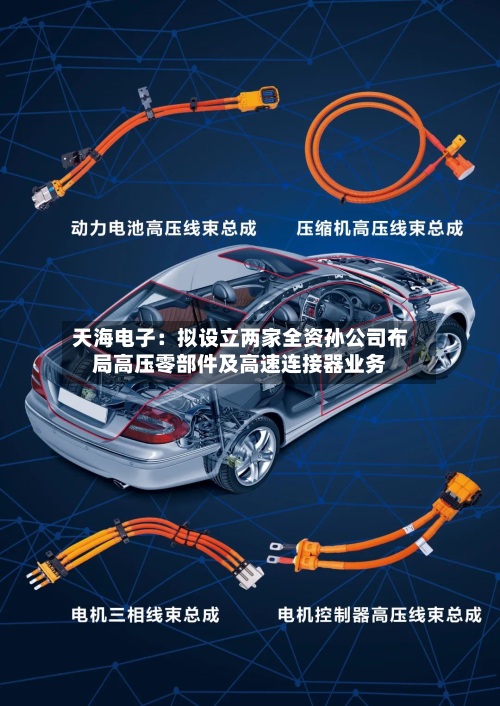 天海电子:拟设立两家全资孙公司布局高压零部件及高速连接器业务-第3张图片