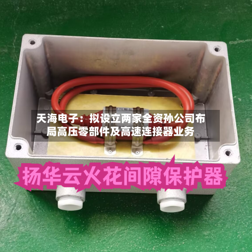 天海电子:拟设立两家全资孙公司布局高压零部件及高速连接器业务-第2张图片