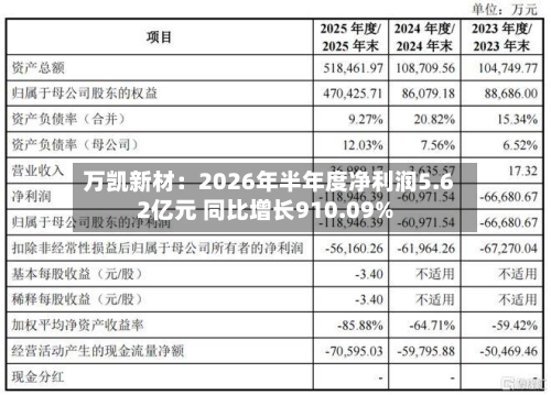 万凯新材:2026年半年度净利润5.62亿元 同比增长910.09%-第2张图片