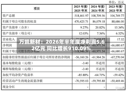 万凯新材:2026年半年度净利润5.62亿元 同比增长910.09%-第1张图片