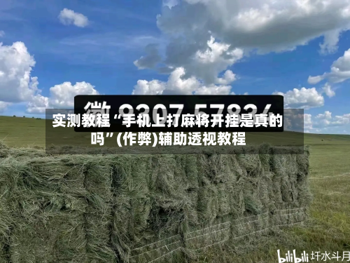 实测教程“手机上打麻将开挂是真的吗”(作弊)辅助透视教程-第1张图片