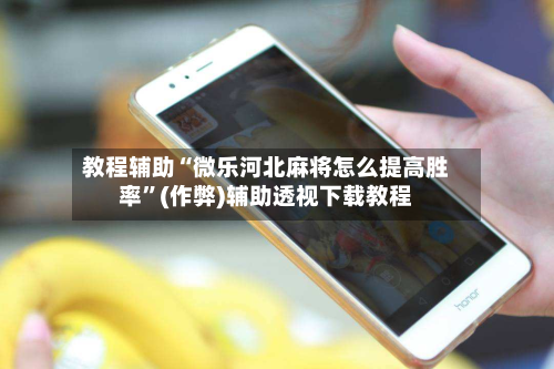 教程辅助“微乐河北麻将怎么提高胜率”(作弊)辅助透视下载教程-第2张图片
