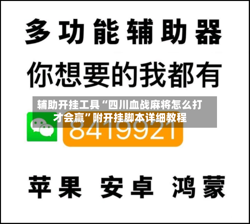 辅助开挂工具“四川血战麻将怎么打才会赢”附开挂脚本详细教程-第3张图片