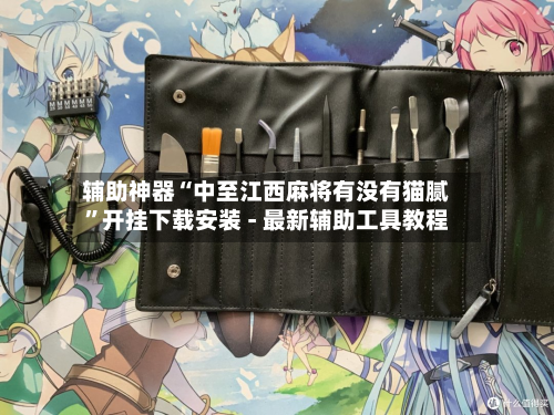 辅助神器“中至江西麻将有没有猫腻”开挂下载安装 - 最新辅助工具教程-第3张图片