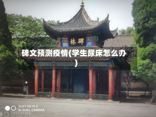 碑文预测疫情(学生尿床怎么办)