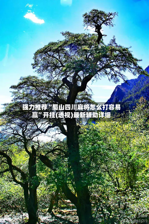 强力推荐“蜀山四川麻将怎么打容易赢”开挂(透视)最新辅助详细