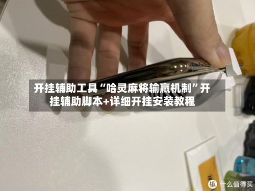 开挂辅助工具“哈灵麻将输赢机制”开挂辅助脚本+详细开挂安装教程-第2张图片