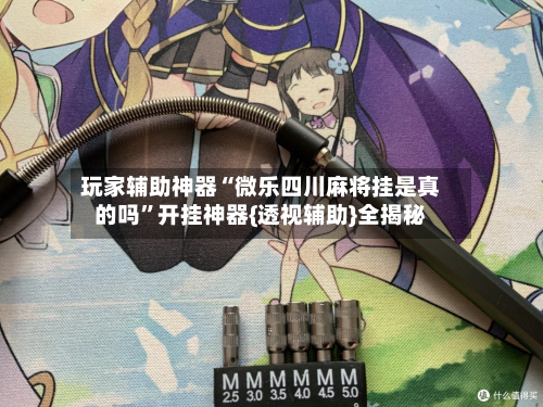 玩家辅助神器“微乐四川麻将挂是真的吗”开挂神器{透视辅助}全揭秘-第2张图片