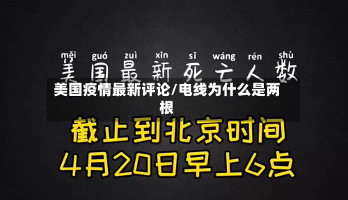 美国疫情最新评论/电线为什么是两根