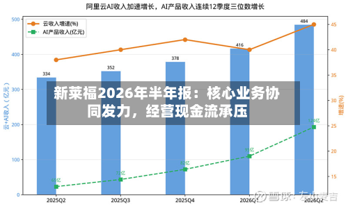 新莱福2026年半年报:核心业务协同发力,经营现金流承压-第3张图片