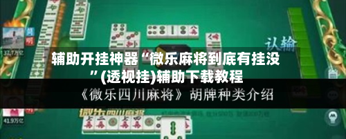 辅助开挂神器“微乐麻将到底有挂没”(透视挂)辅助下载教程-第2张图片