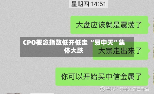 CPO概念指数低开低走 “易中天”集体大跌