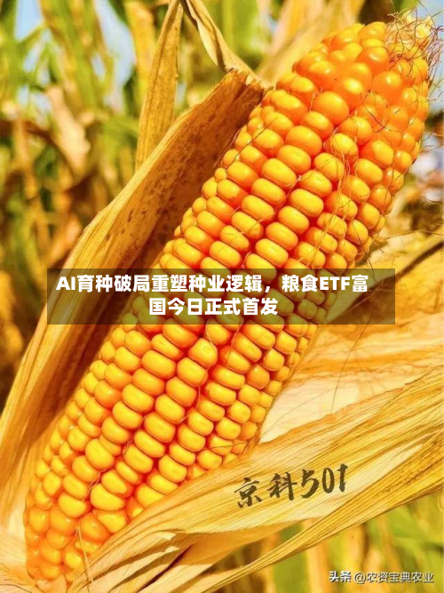 AI育种破局重塑种业逻辑,粮食ETF富国今日正式首发-第1张图片