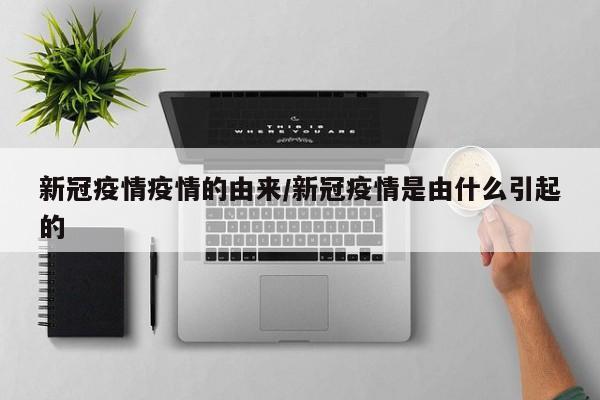 新冠疫情疫情的由来/新冠疫情是由什么引起的