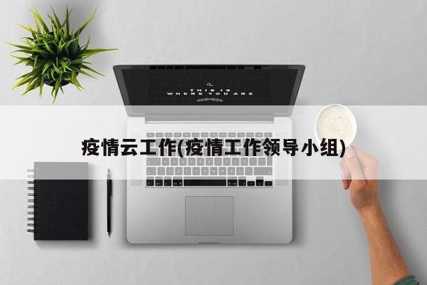 疫情云工作(疫情工作领导小组)