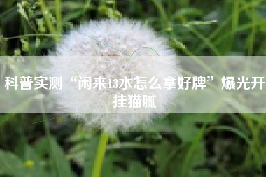 [教程经验]“手机上打牌怎么开挂”(曝光透视必备猫腻)